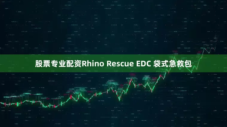 股票专业配资Rhino Rescue EDC 袋式急救包