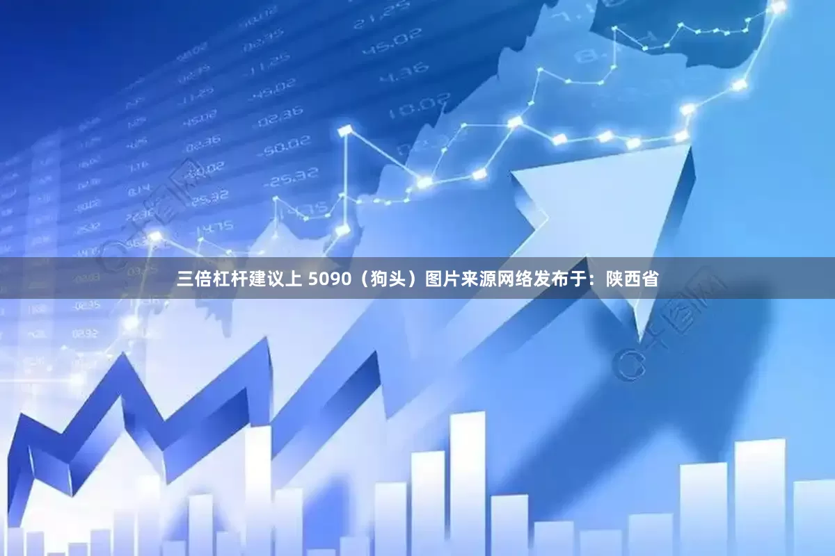 三倍杠杆建议上 5090（狗头）图片来源网络发布于：陕西省