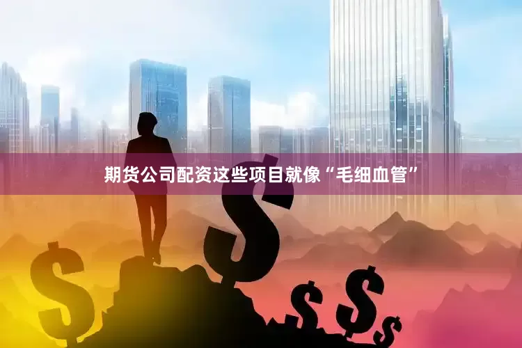 期货公司配资这些项目就像“毛细血管”