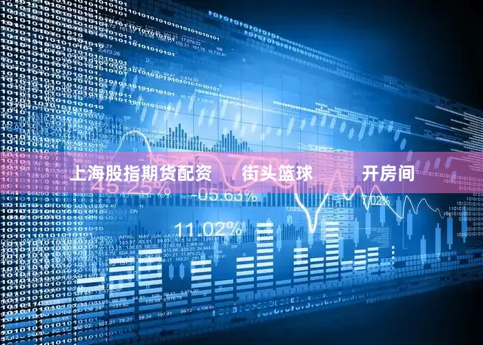 上海股指期货配资      街头篮球          开房间